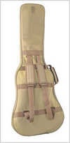 Gig Bag 3-1.jpg